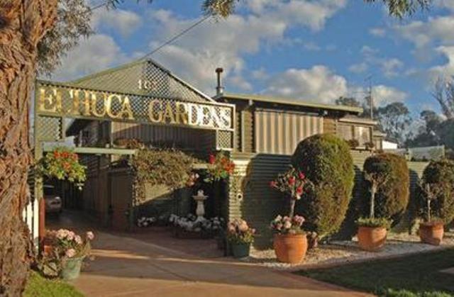 Echuca Gardens Hotell Exteriör bild